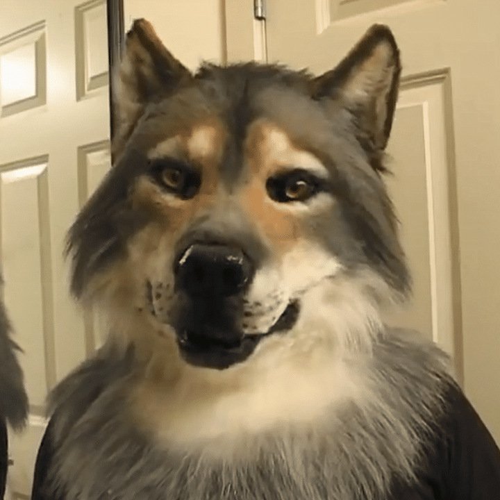 Werewolf Costume Party Mask Halloween Simulation Animal Rotate Headwear Costume Wolf Face Masks Cosplay - 6